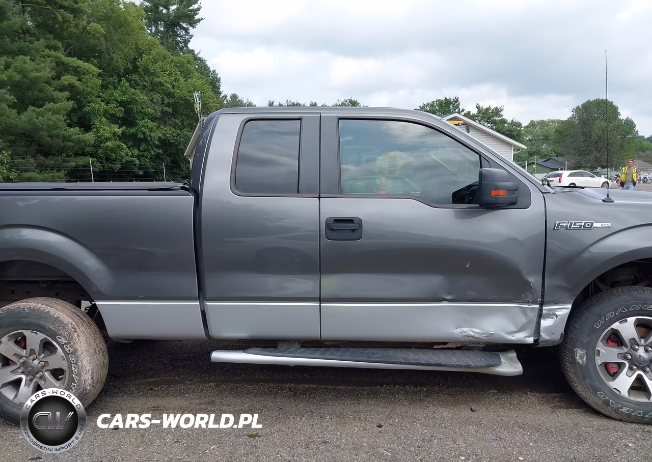 2013 Ford F-150 Stx VIN:1FTFX1EFXDFD27744 - 13