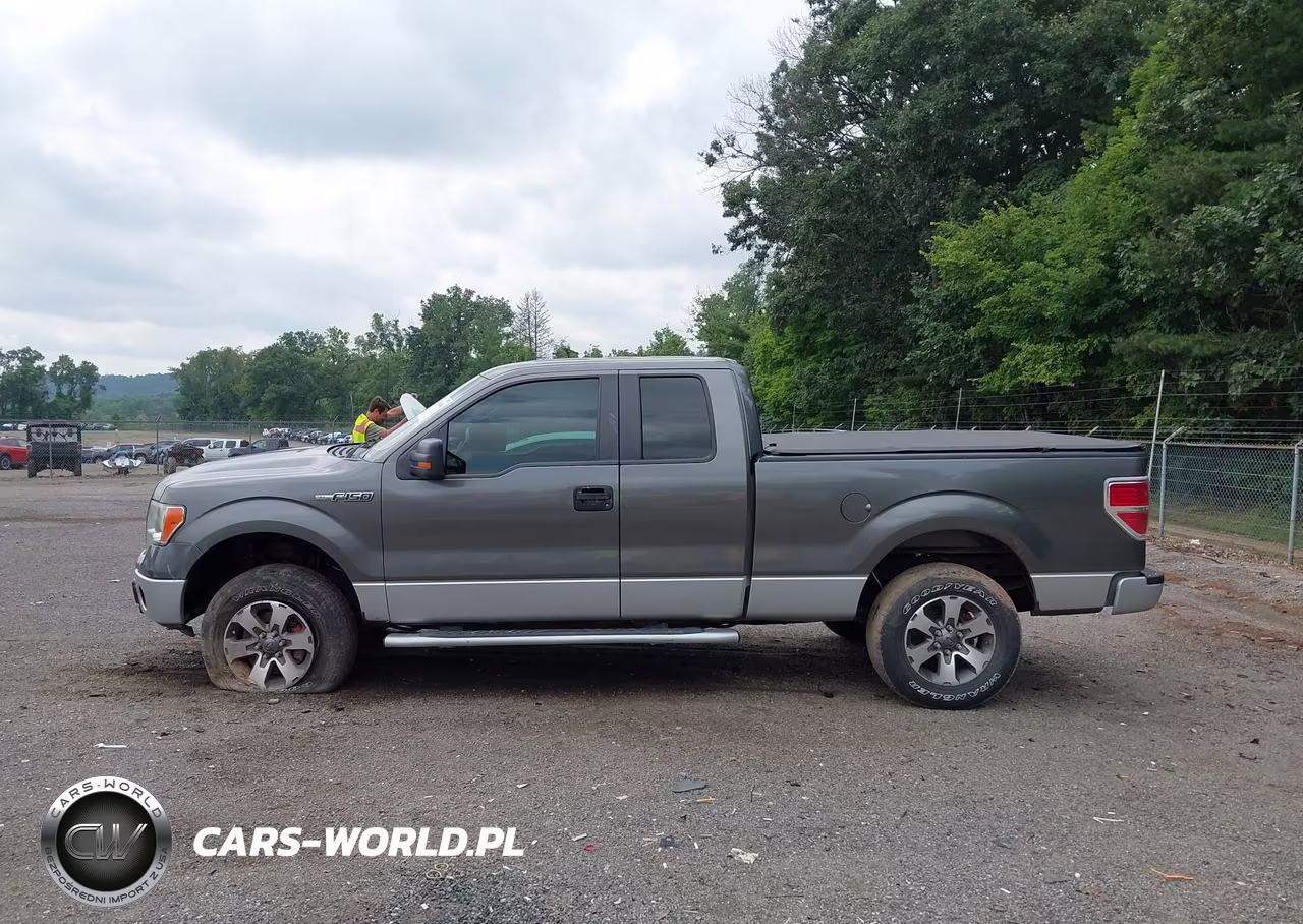 2013 Ford F-150 Stx VIN:1FTFX1EFXDFD27744 - 14