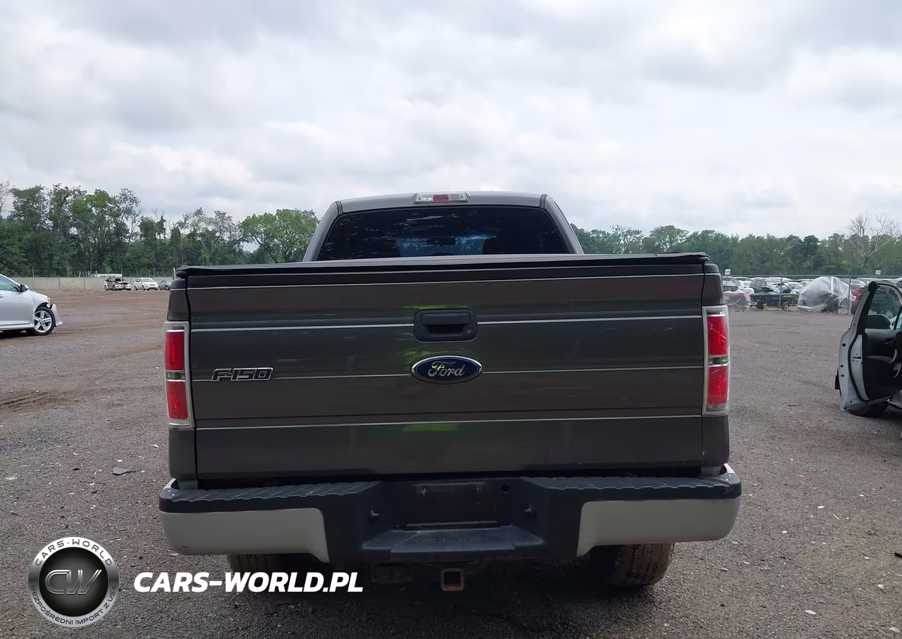 2013 Ford F-150 Stx VIN:1FTFX1EFXDFD27744 - 16