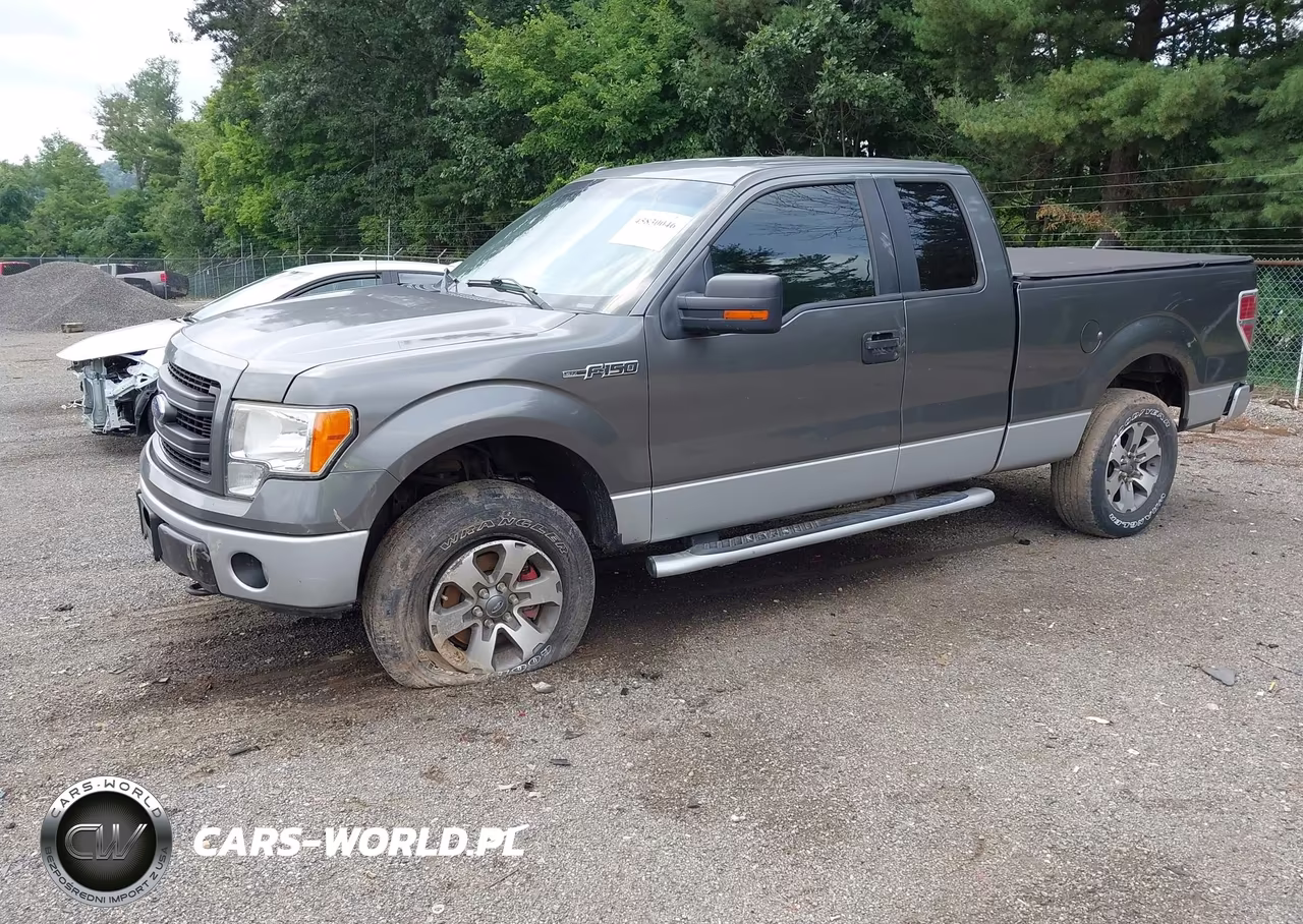 2013 Ford F-150 Stx VIN:1FTFX1EFXDFD27744 - 2
