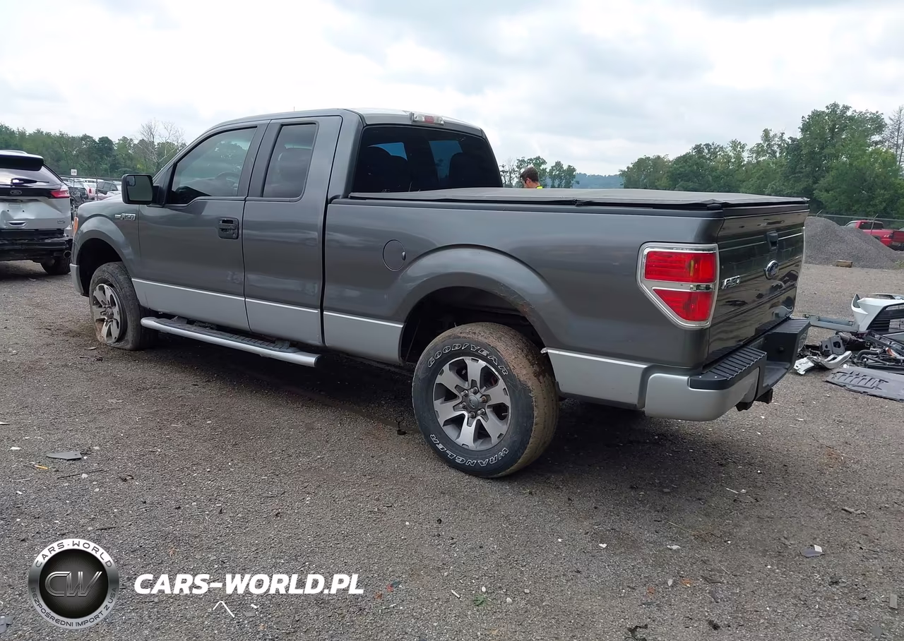 2013 Ford F-150 Stx VIN:1FTFX1EFXDFD27744 - 3