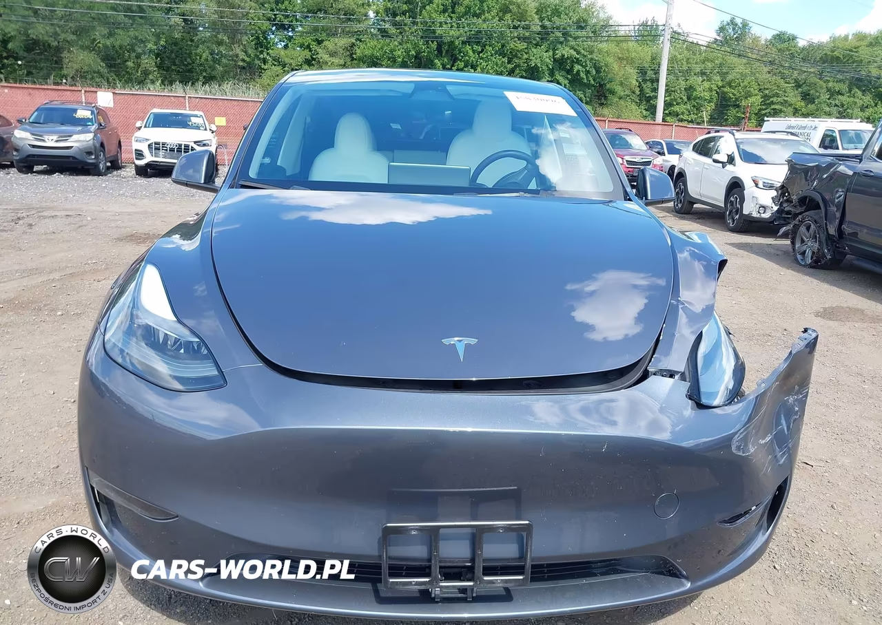 2023 Tesla Model Y Awd-Long Range Dual Motor All-Wheel Drive VIN:7SAYGDEE7PF694906 - 12