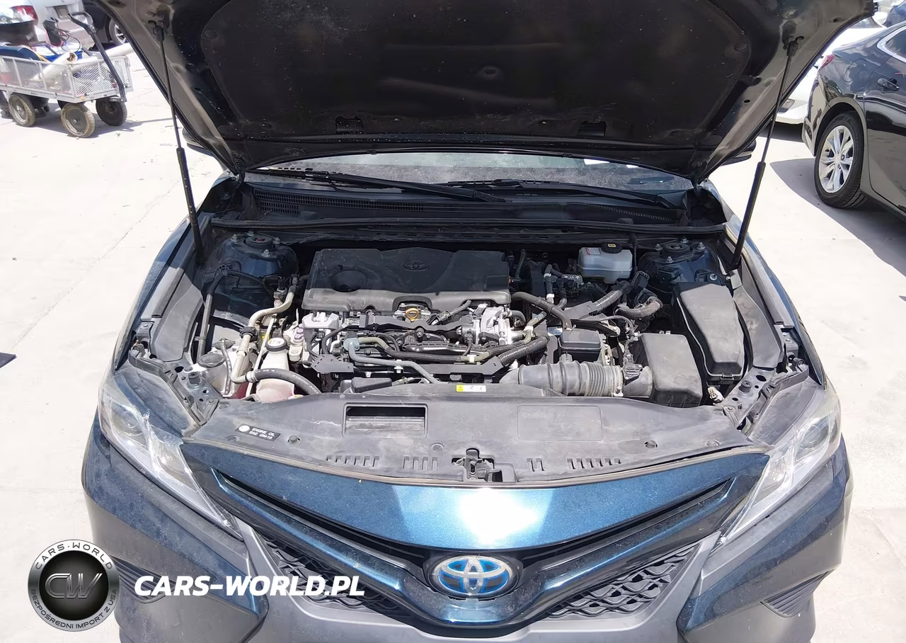 2020 Toyota Camry Se Hybrid VIN:4T1G31AK0LU545359 - 10