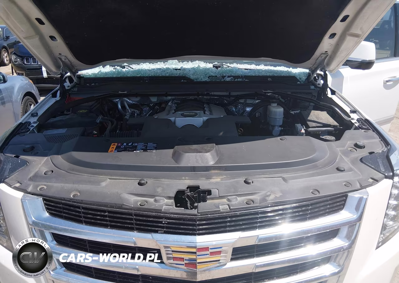 2017 Cadillac Escalade Luxury VIN:1GYS4BKJ9HR195645 - 10