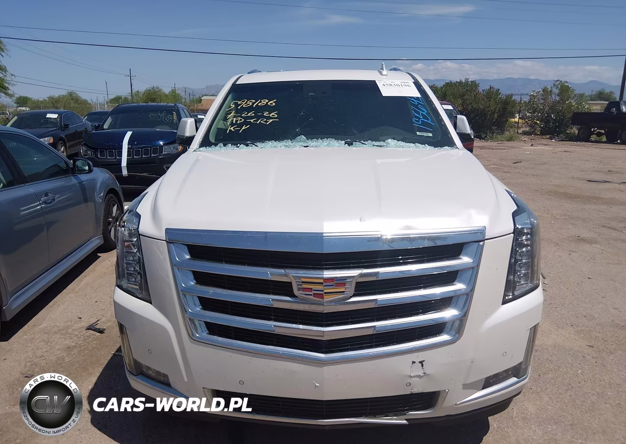 2017 Cadillac Escalade Luxury VIN:1GYS4BKJ9HR195645 - 12