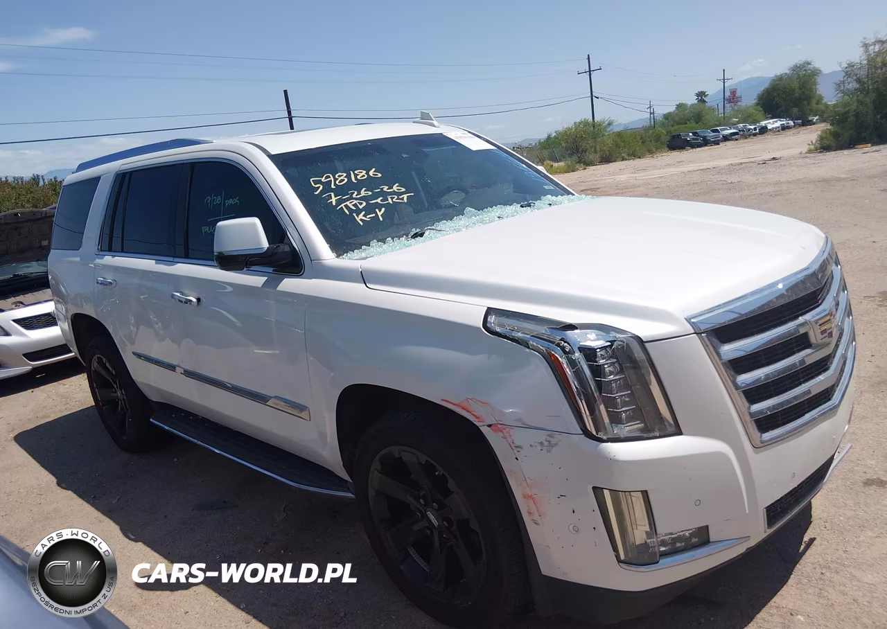 2017 Cadillac Escalade Luxury VIN:1GYS4BKJ9HR195645 - 13