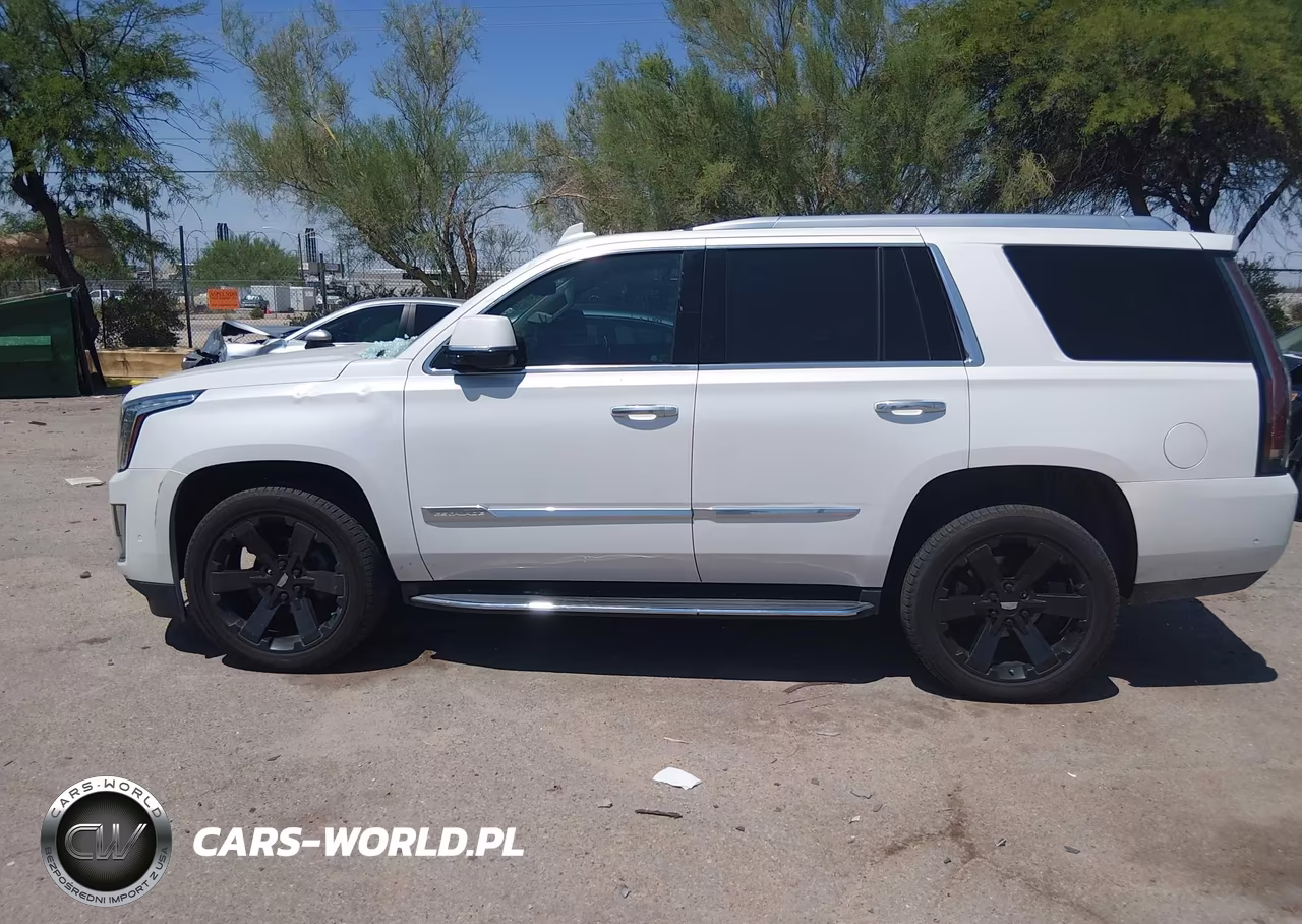2017 Cadillac Escalade Luxury VIN:1GYS4BKJ9HR195645 - 14