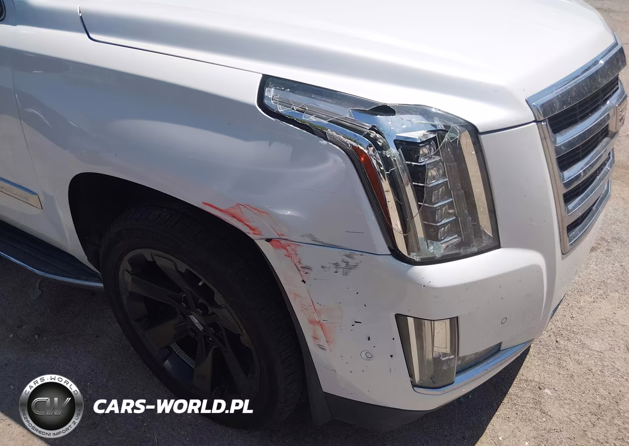 2017 Cadillac Escalade Luxury VIN:1GYS4BKJ9HR195645 - 6