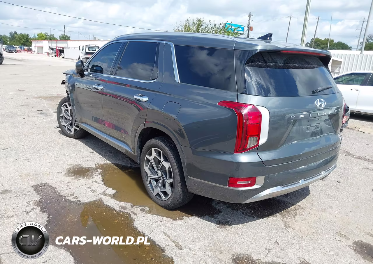 2022 Hyundai Palisade Calligraphy VIN:KM8R74HE2NU401278 - 3