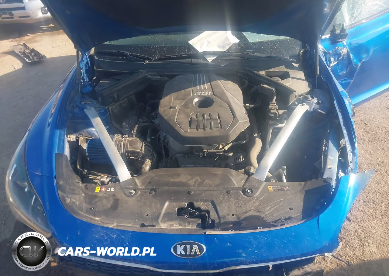 2019 Kia Stinger VIN:KNAE15LA9K6067746 - 10