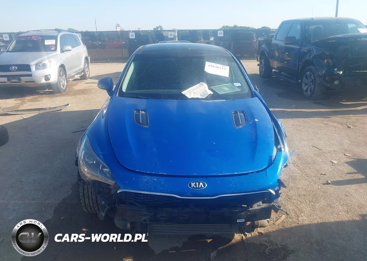 2019 Kia Stinger VIN:KNAE15LA9K6067746 - 12
