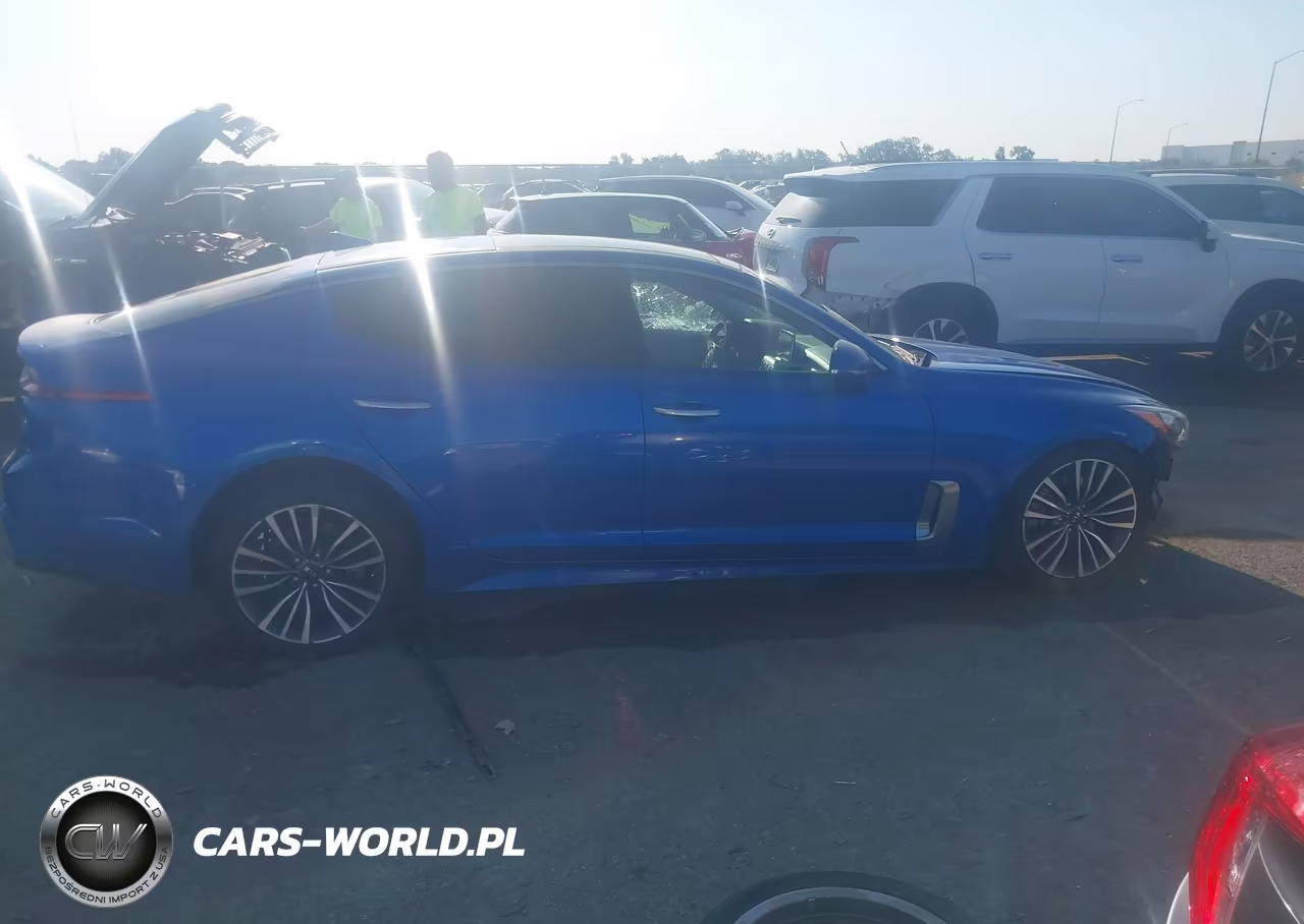 2019 Kia Stinger VIN:KNAE15LA9K6067746 - 13