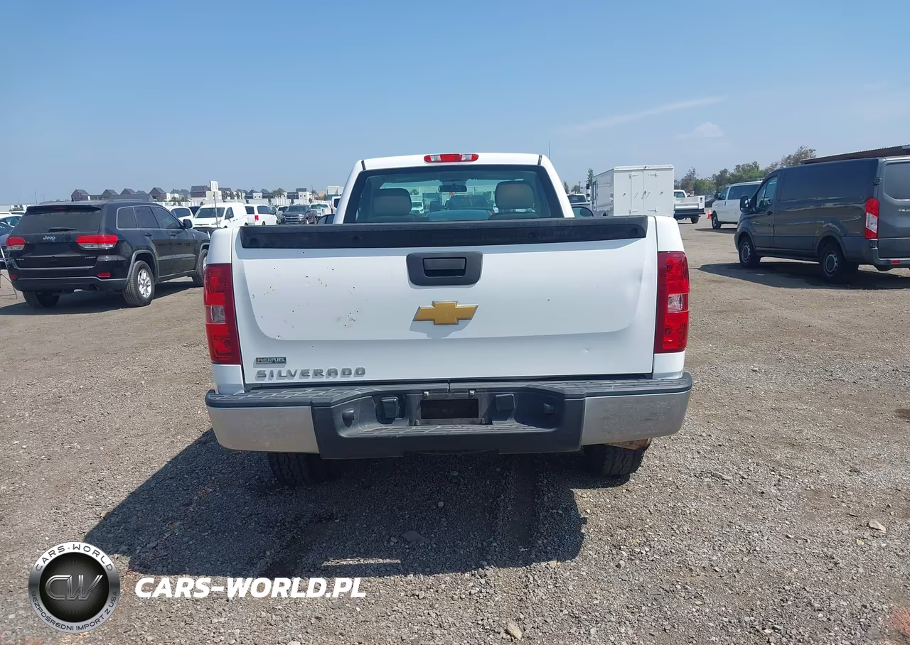 2012 Chevrolet Silverado 1500 Work Truck VIN:1GCNCPEA5CZ233556 - 20