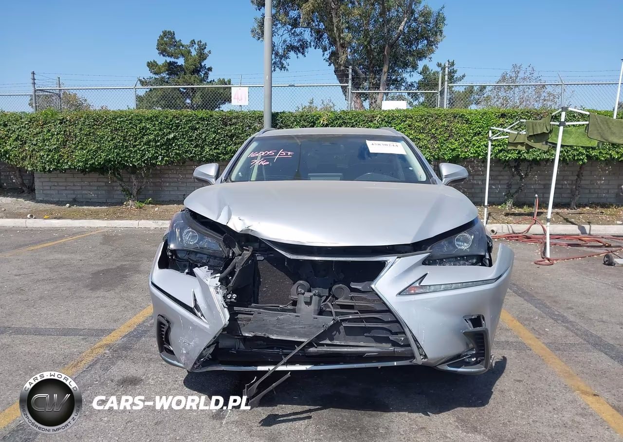 2018 Lexus Nx 300 VIN:JTJYARBZ5J2093584 - 13