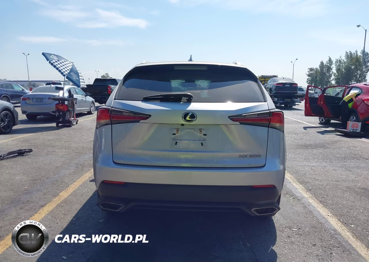 2018 Lexus Nx 300 VIN:JTJYARBZ5J2093584 - 17