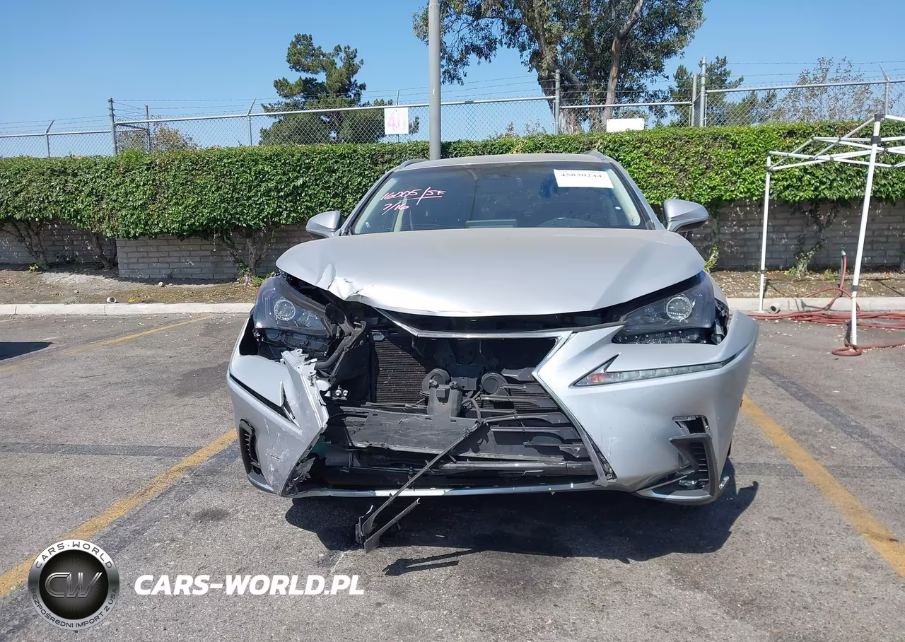 2018 Lexus Nx 300 VIN:JTJYARBZ5J2093584 - 6