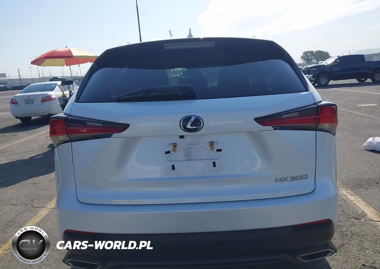 2020 Lexus Nx 300 VIN:JTJAARBZ4L2158753 - 17