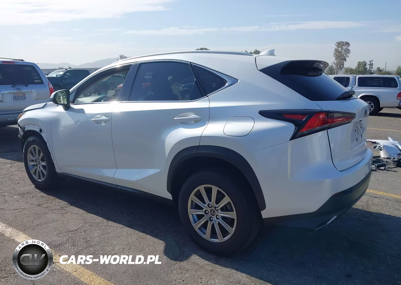 2020 Lexus Nx 300 VIN:JTJAARBZ4L2158753 - 3