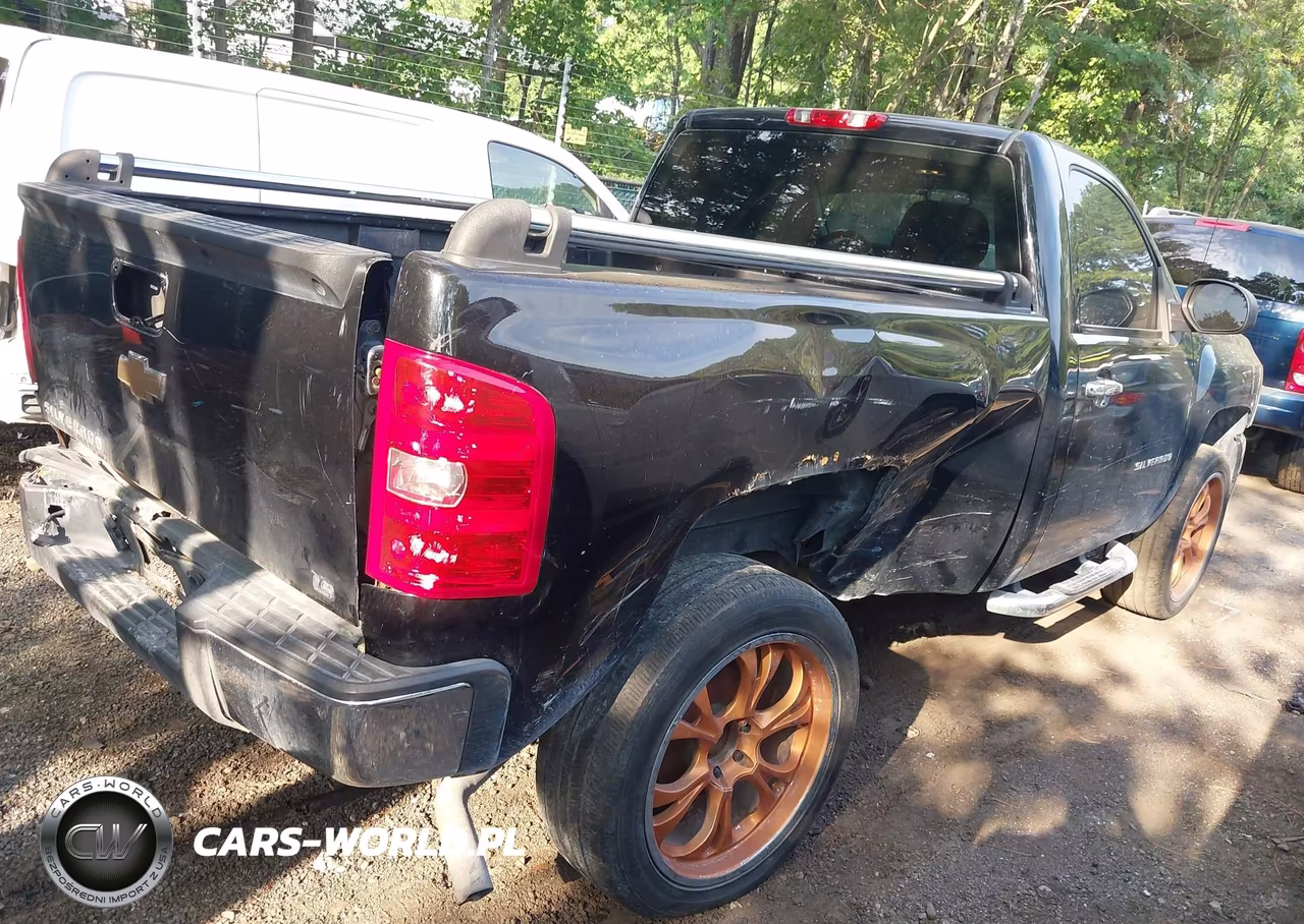 2011 Chevrolet Silverado 1500 Work Truck VIN:1GCNCPEX9BZ213653 - 4