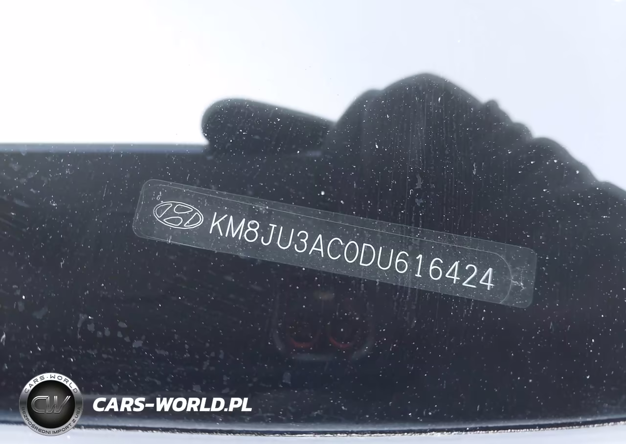 2013 Hyundai Tucson Limited VIN:KM8JU3AC0DU616424 - 9