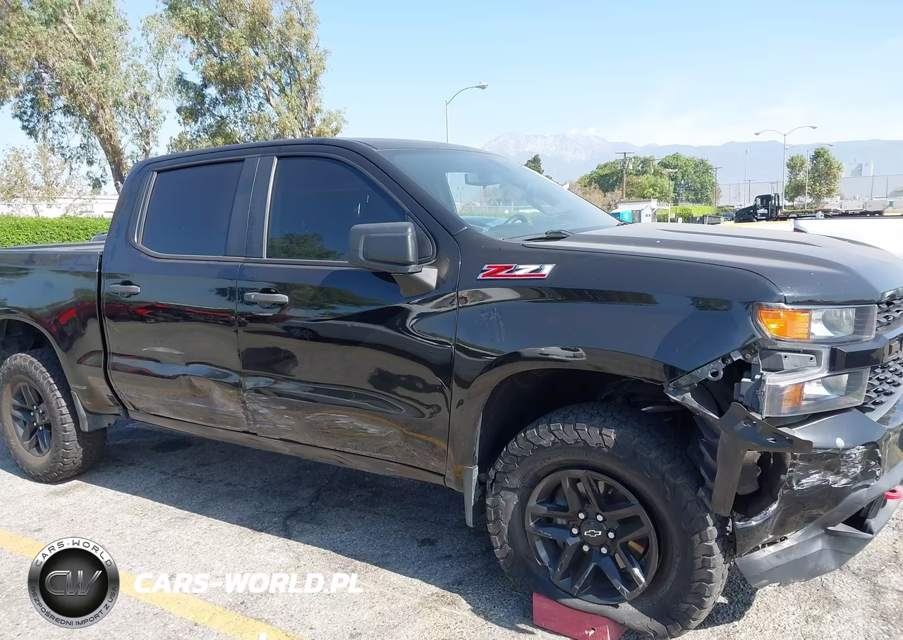 2019 Chevrolet Silverado 1500 Custom Trail Boss VIN:1GCPYCEF9KZ329235 - 6
