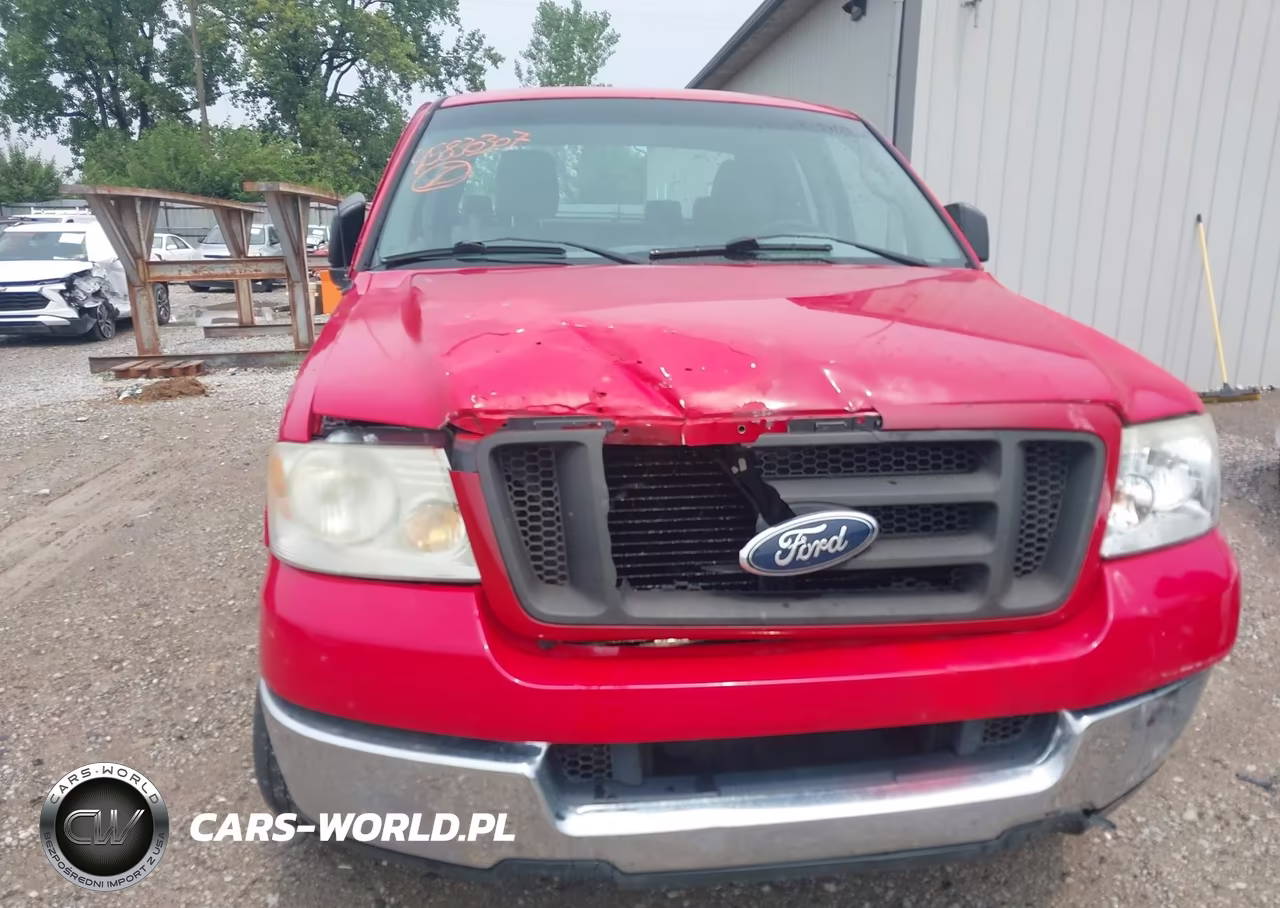 2006 Ford F-150 Stx-Xl-Xlt VIN:1FTRX14W16NA46987 - 6