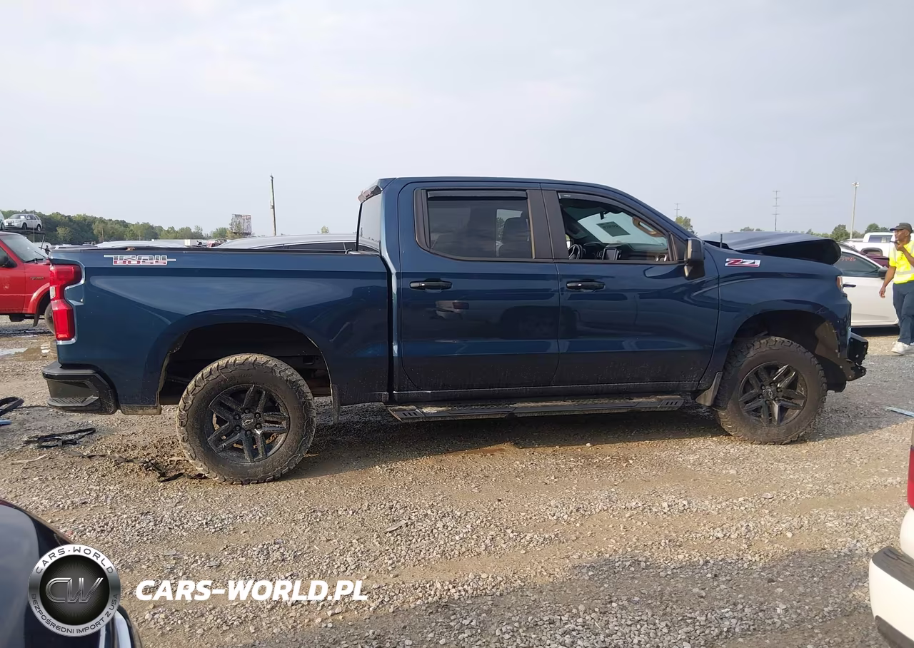 2019 Chevrolet Silverado 1500 Lt Trail Boss VIN:3GCPYFED0KG143888 - 13