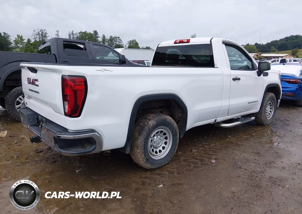2020 GMC Sierra 1500 4Wd Long Box VIN:3GTN9AEF9LG140904 - 4