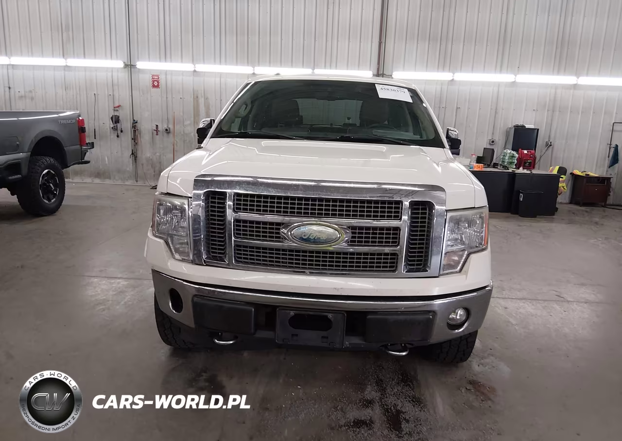 2009 Ford F-150 Fx4-King Ranch-Lariat-Platinum-Xl-Xlt VIN:1FTPW14V39FB19843 - 12
