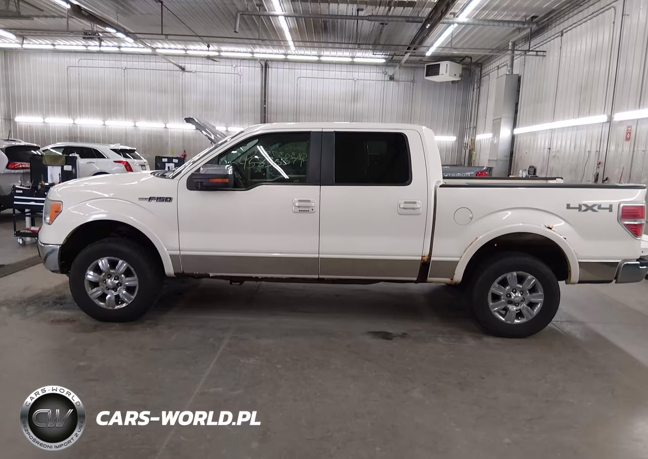 2009 Ford F-150 Fx4-King Ranch-Lariat-Platinum-Xl-Xlt VIN:1FTPW14V39FB19843 - 14