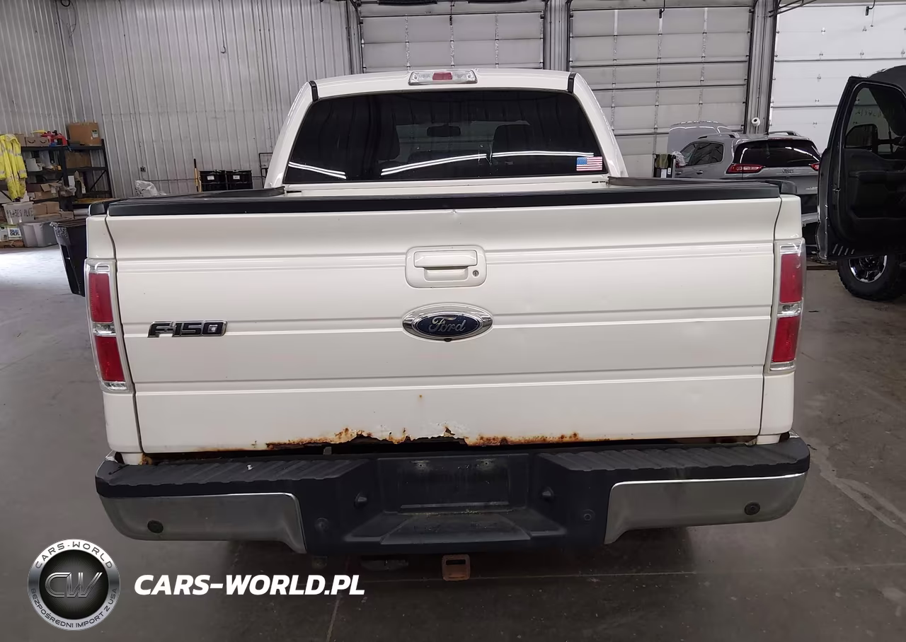 2009 Ford F-150 Fx4-King Ranch-Lariat-Platinum-Xl-Xlt VIN:1FTPW14V39FB19843 - 16