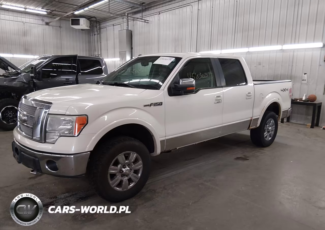 2009 Ford F-150 Fx4-King Ranch-Lariat-Platinum-Xl-Xlt VIN:1FTPW14V39FB19843 - 2