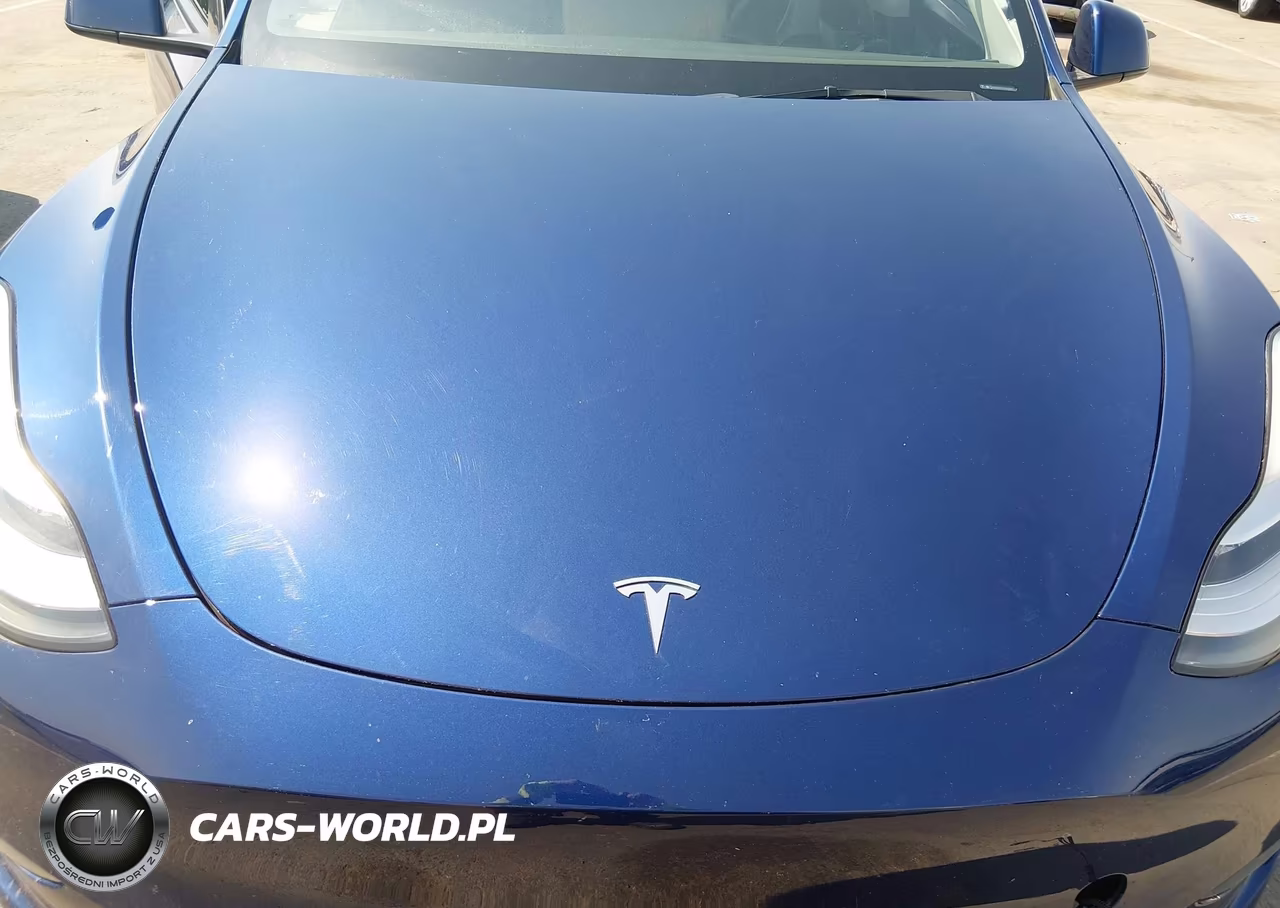 2023 Tesla Model Y VIN:7SAYGDEE7PA126281 - 10
