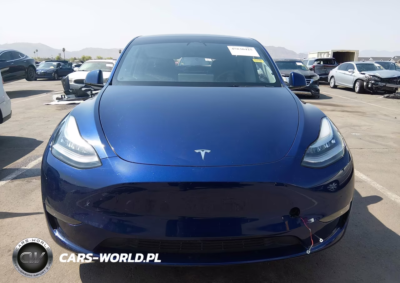 2023 Tesla Model Y VIN:7SAYGDEE7PA126281 - 12
