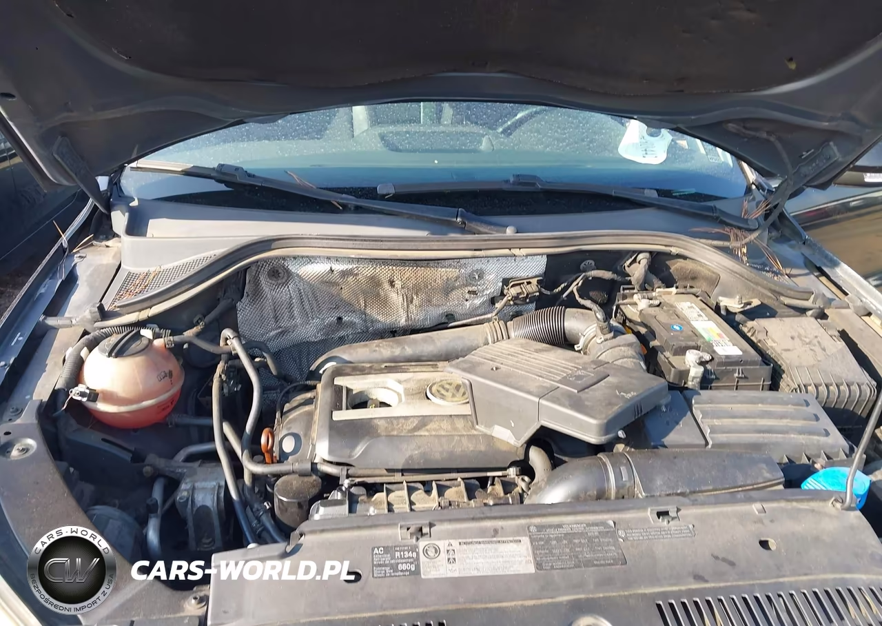 2010 Volkswagen Tiguan Wolfsburg Edition VIN:WVGBV7AX8AW524988 - 10