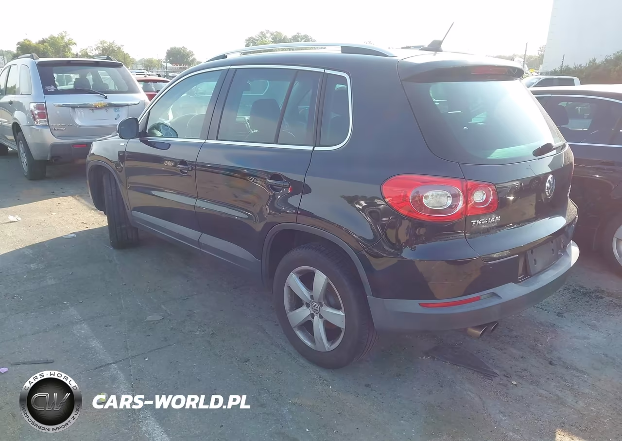 2010 Volkswagen Tiguan Wolfsburg Edition VIN:WVGBV7AX8AW524988 - 3