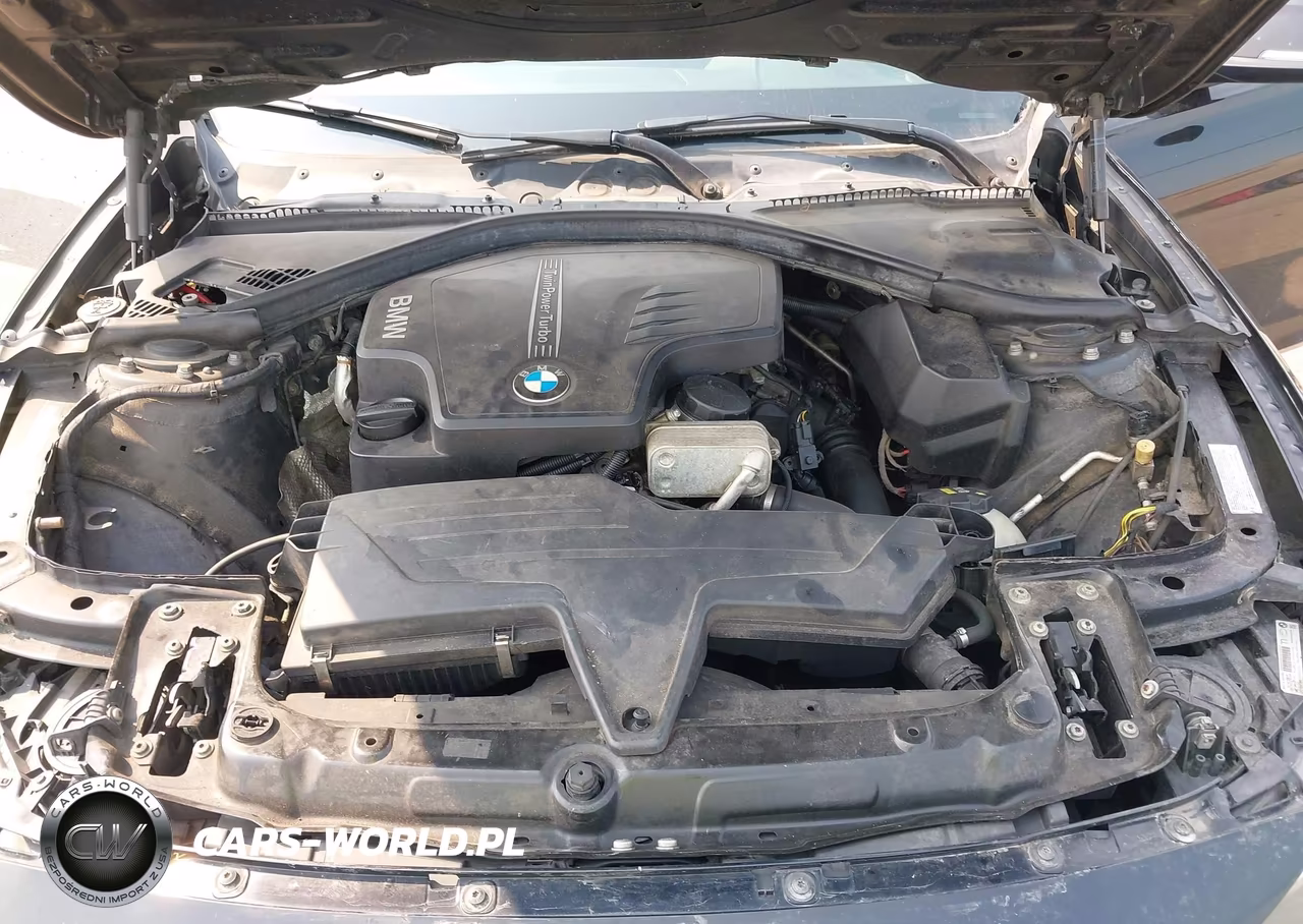 2015 BMW 320I xDrive VIN:WBA3C3G57FNS75798 - 10