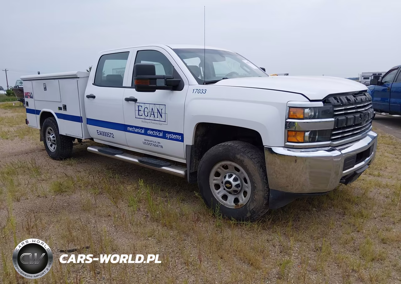 2017 Chevrolet Silverado 3500Hd Work Truck VIN:1GC4KYCG0HF187946 - 1