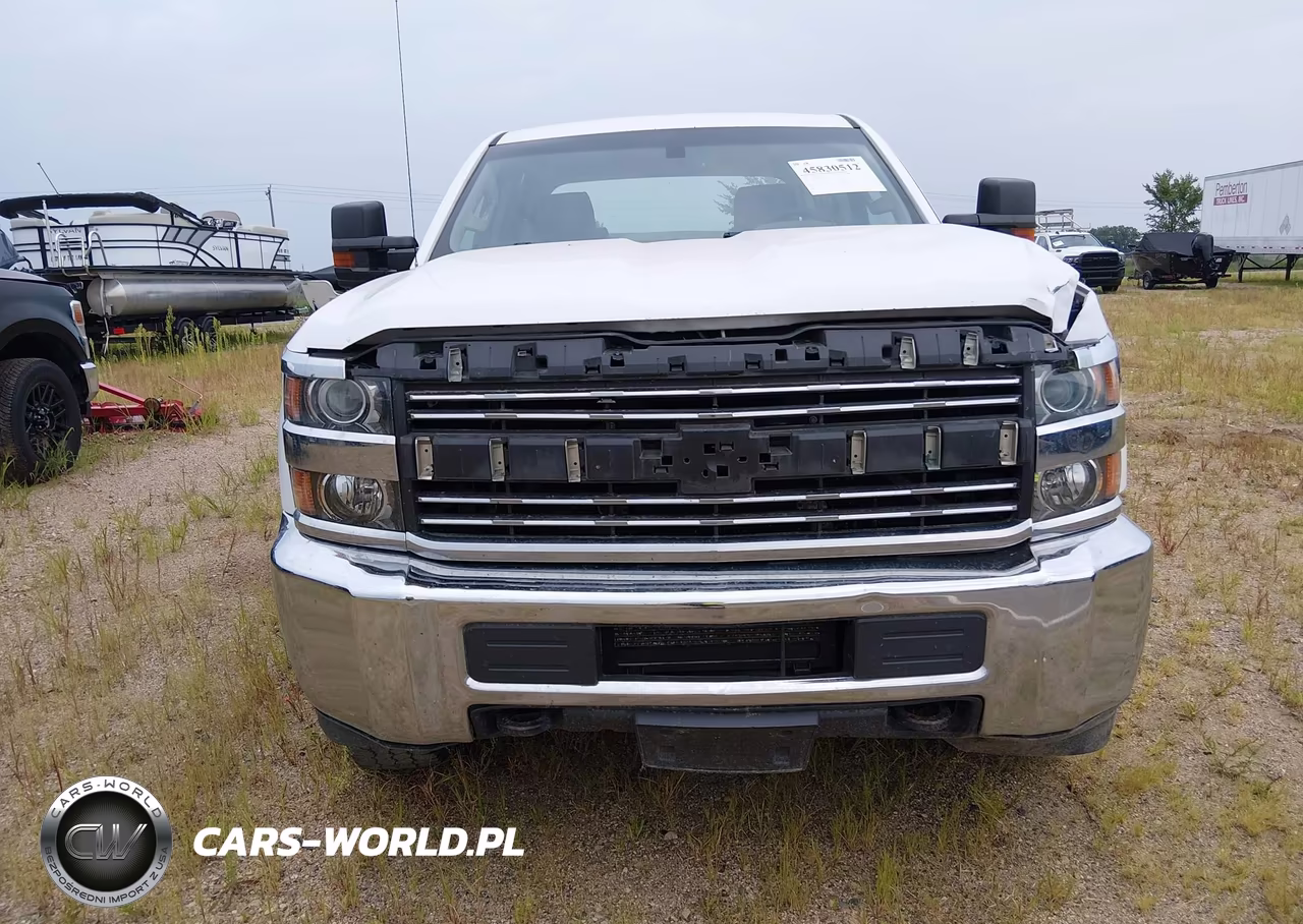 2017 Chevrolet Silverado 3500Hd Work Truck VIN:1GC4KYCG0HF187946 - 12