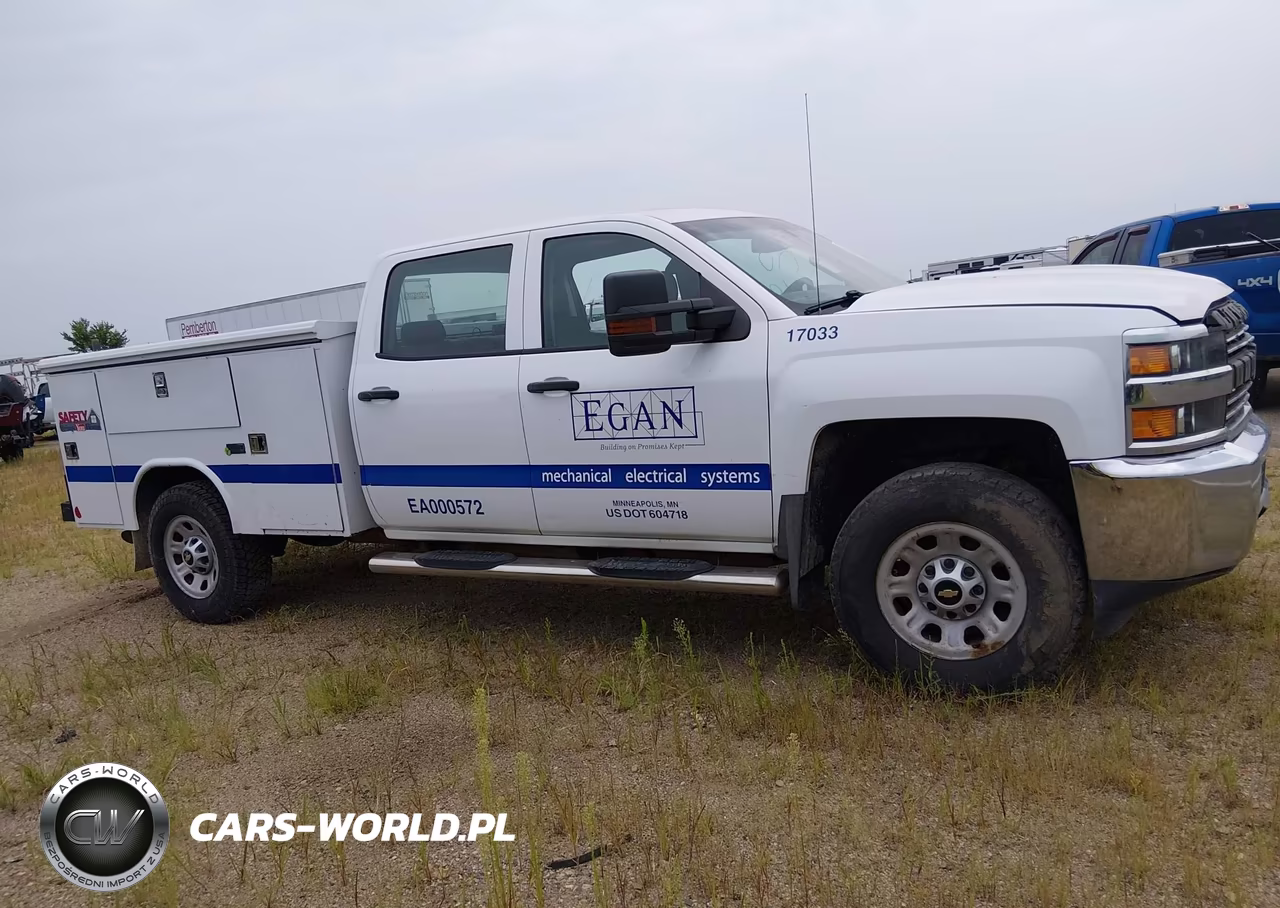 2017 Chevrolet Silverado 3500Hd Work Truck VIN:1GC4KYCG0HF187946 - 13