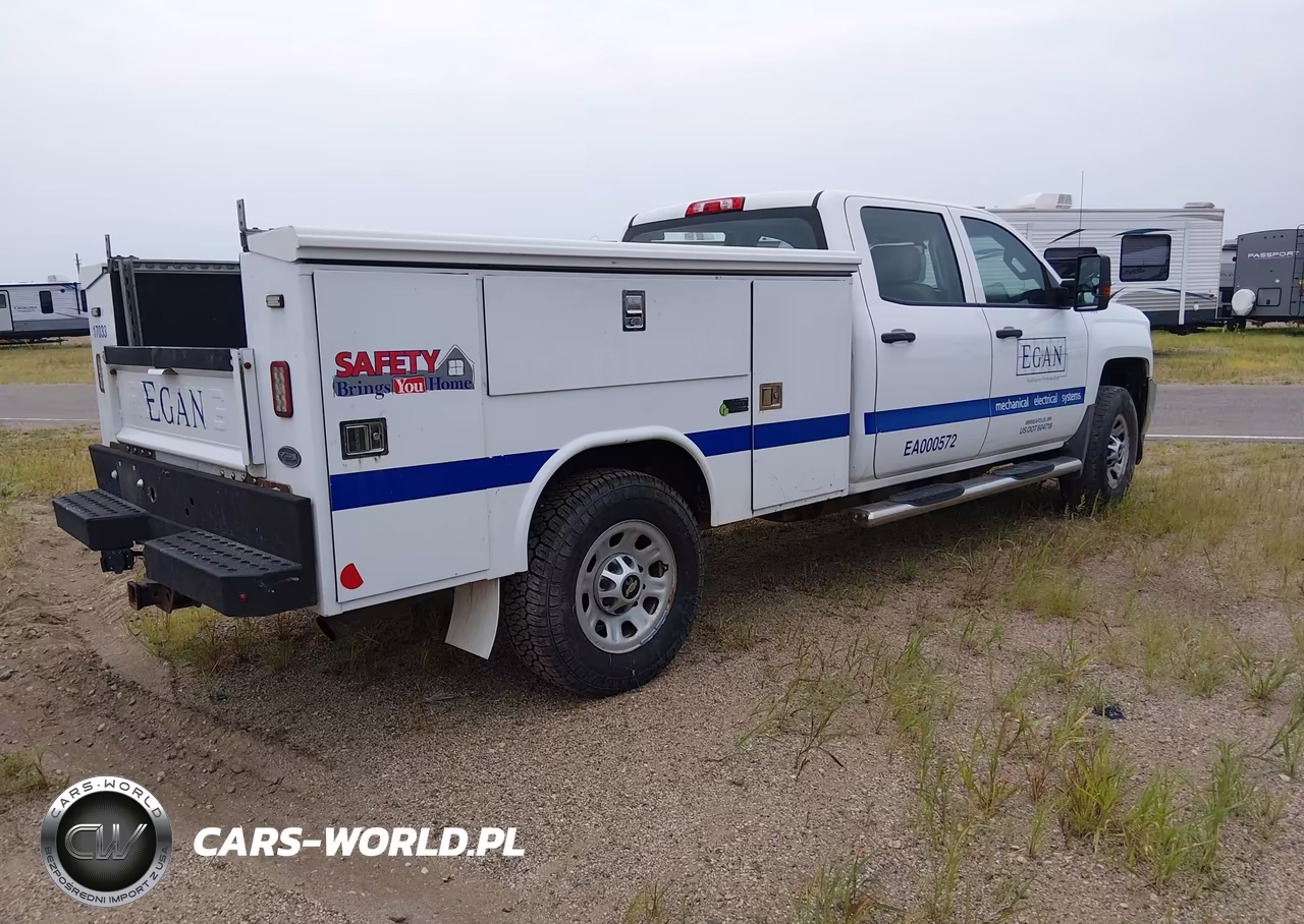 2017 Chevrolet Silverado 3500Hd Work Truck VIN:1GC4KYCG0HF187946 - 4