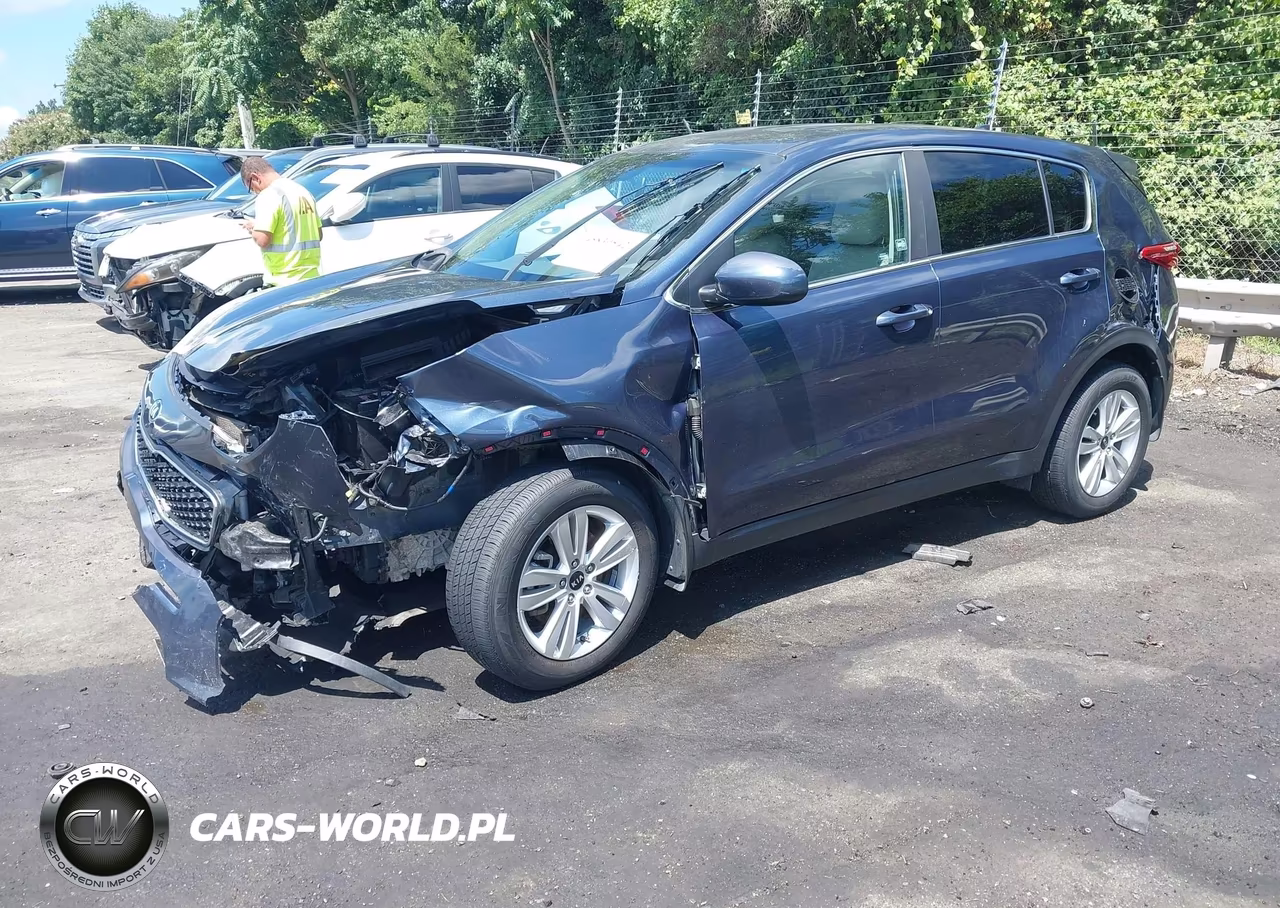 2017 Kia Sportage Lx VIN:KNDPM3AC9H7209110 - 2