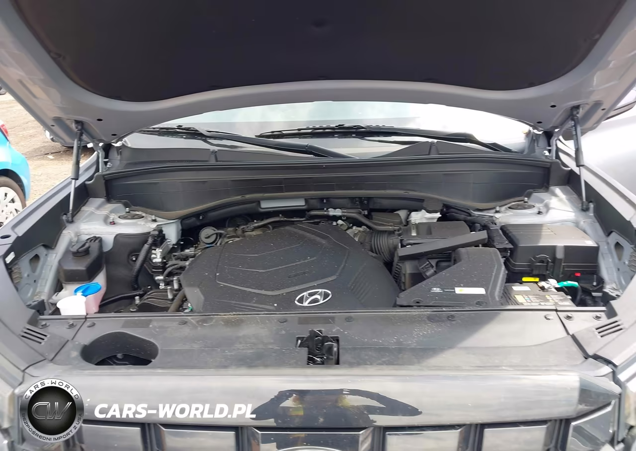 2024 Hyundai Palisade Sel VIN:KM8R24GE1RU739230 - 10