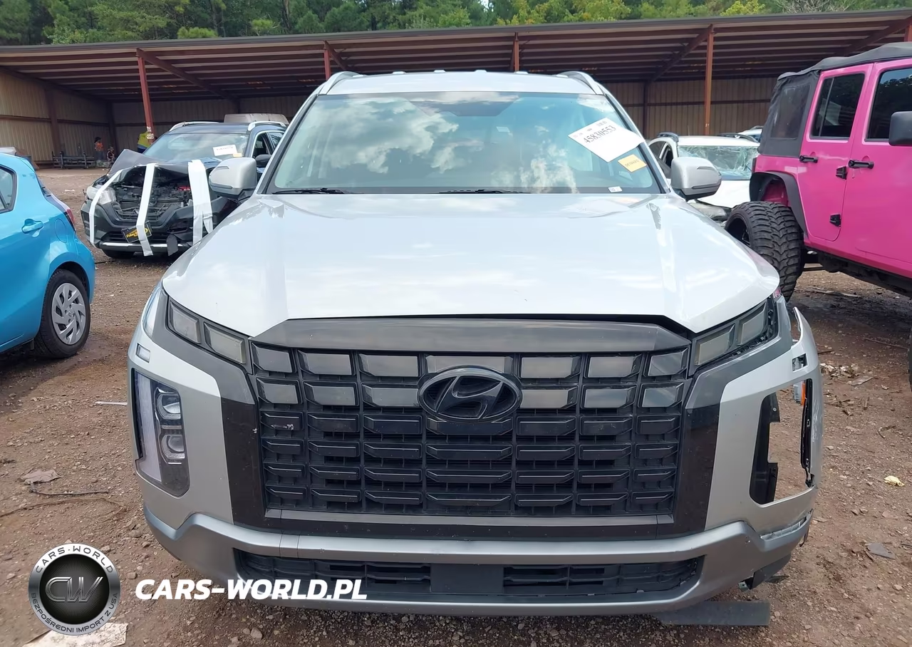 2024 Hyundai Palisade Sel VIN:KM8R24GE1RU739230 - 13