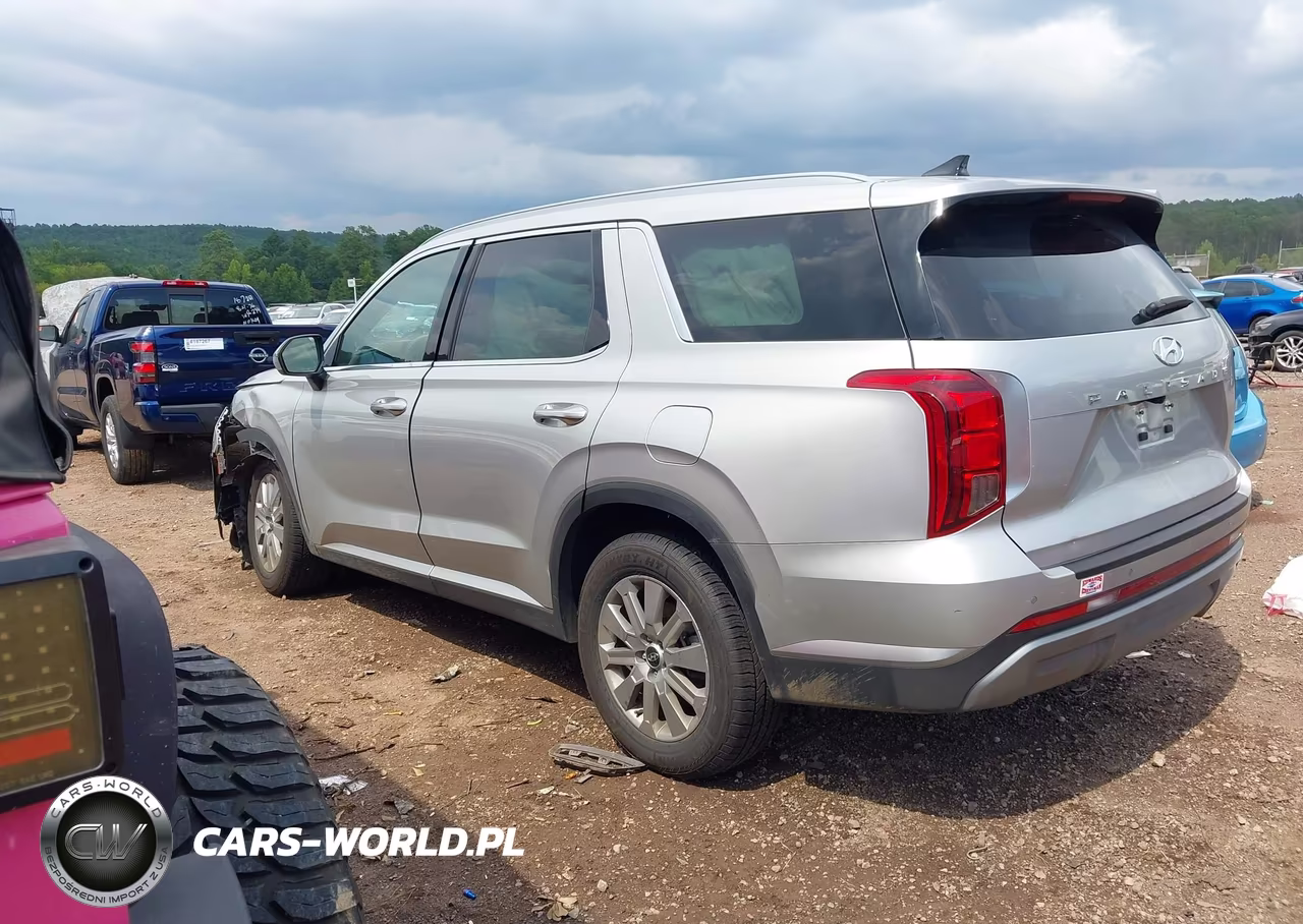 2024 Hyundai Palisade Sel VIN:KM8R24GE1RU739230 - 3