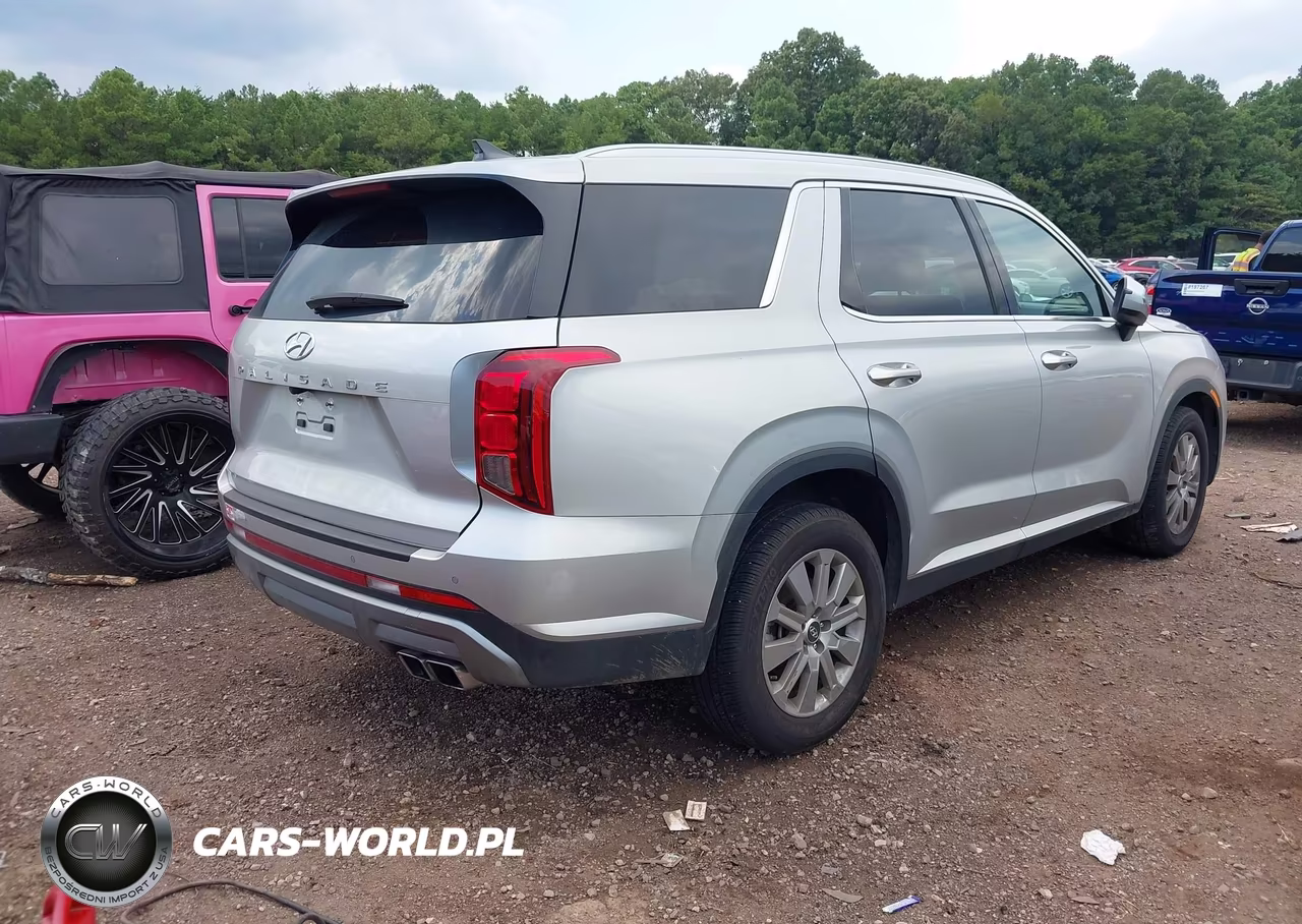 2024 Hyundai Palisade Sel VIN:KM8R24GE1RU739230 - 4