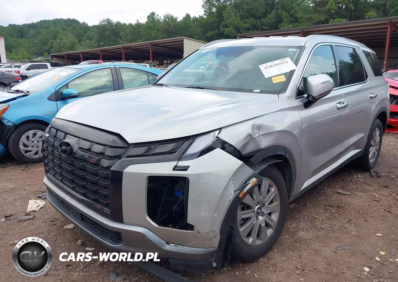 2024 Hyundai Palisade Sel VIN:KM8R24GE1RU739230 - 6
