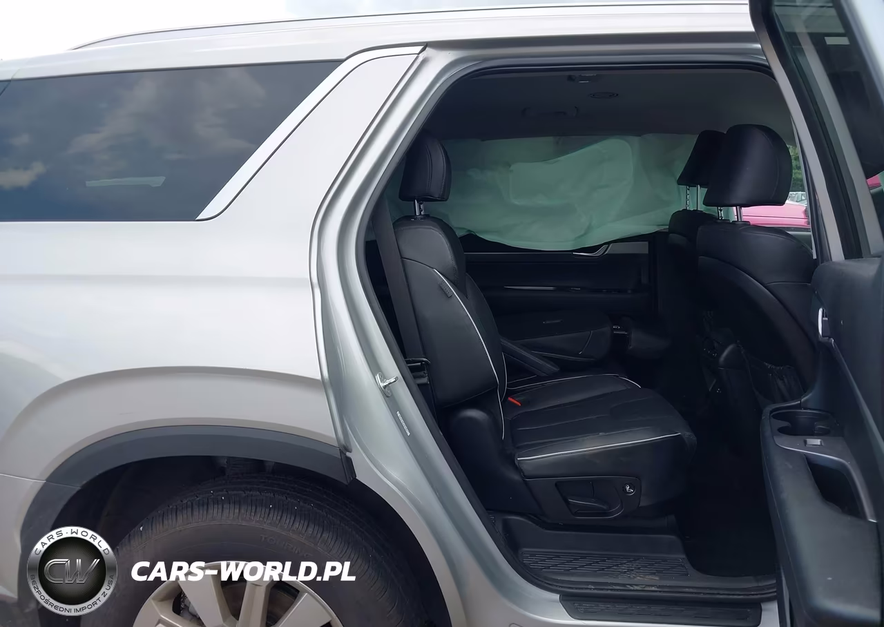 2024 Hyundai Palisade Sel VIN:KM8R24GE1RU739230 - 8