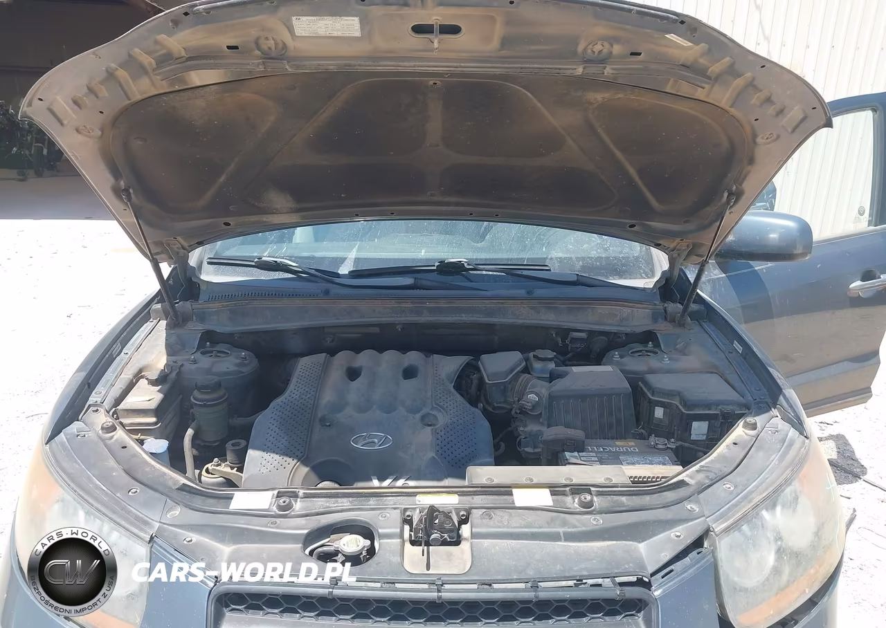 2008 Hyundai Santa Fe Gls VIN:5NMSG13DX8H142036 - 10
