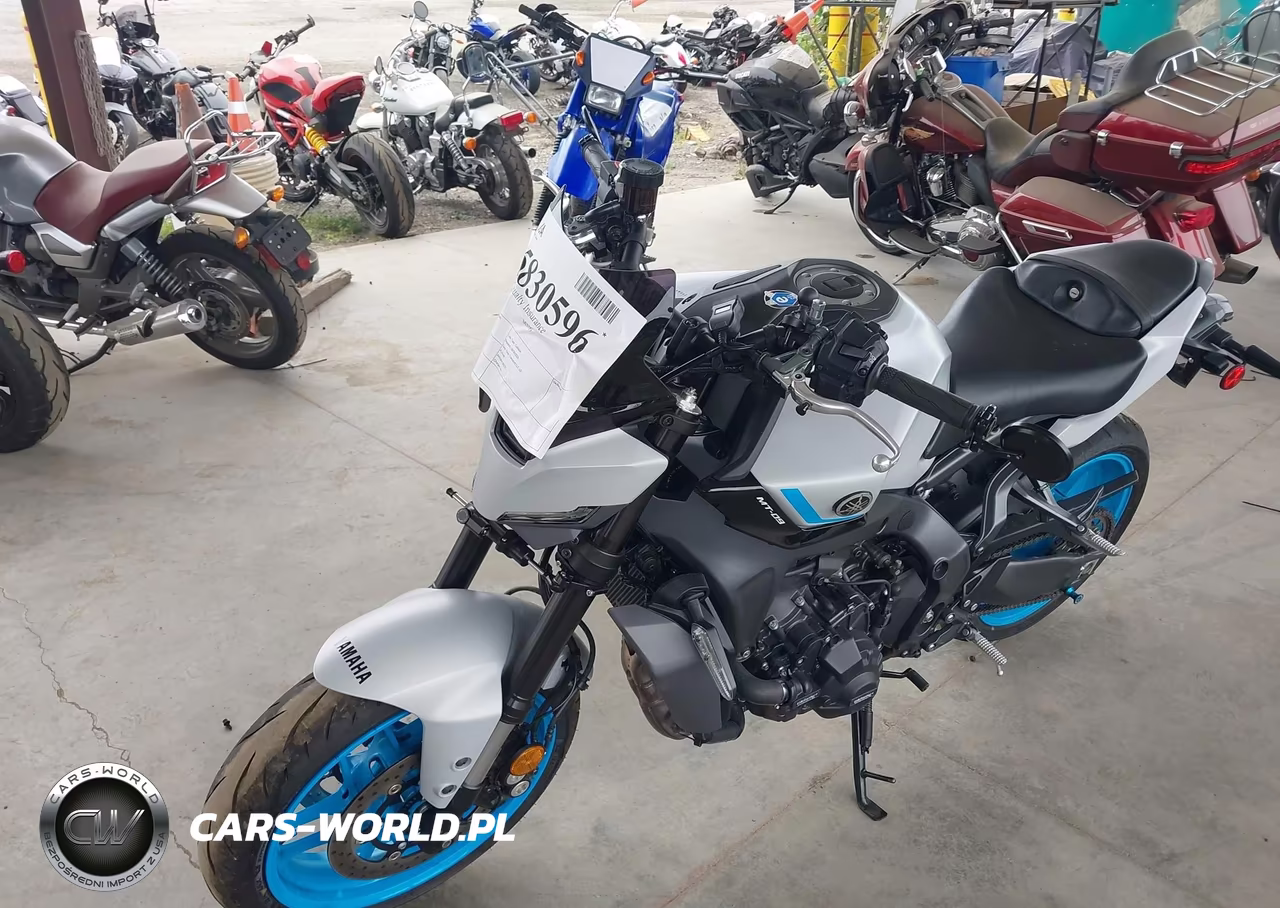 2025 Yamaha Mt09 VIN:JYARN94E8SA002820 - 2